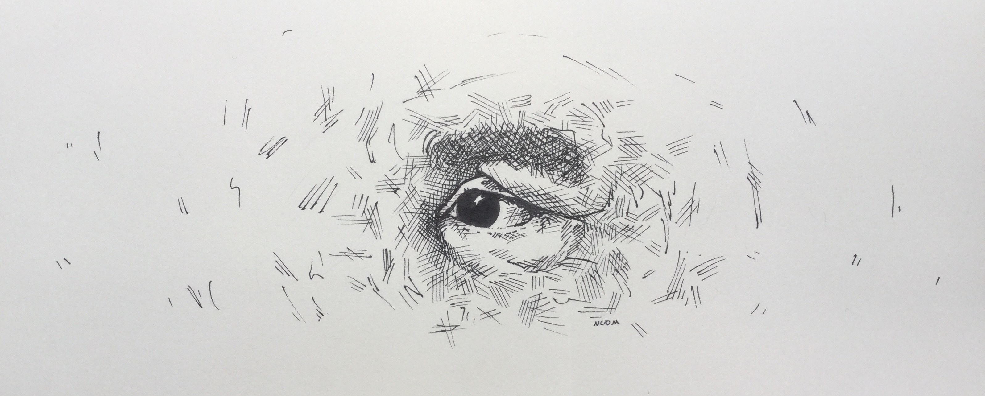 Ink illustration of Gabriel Garcia Marquez's eye looking to the left. The illustration is crosshatched with lines spreading out from the center of the drawing.