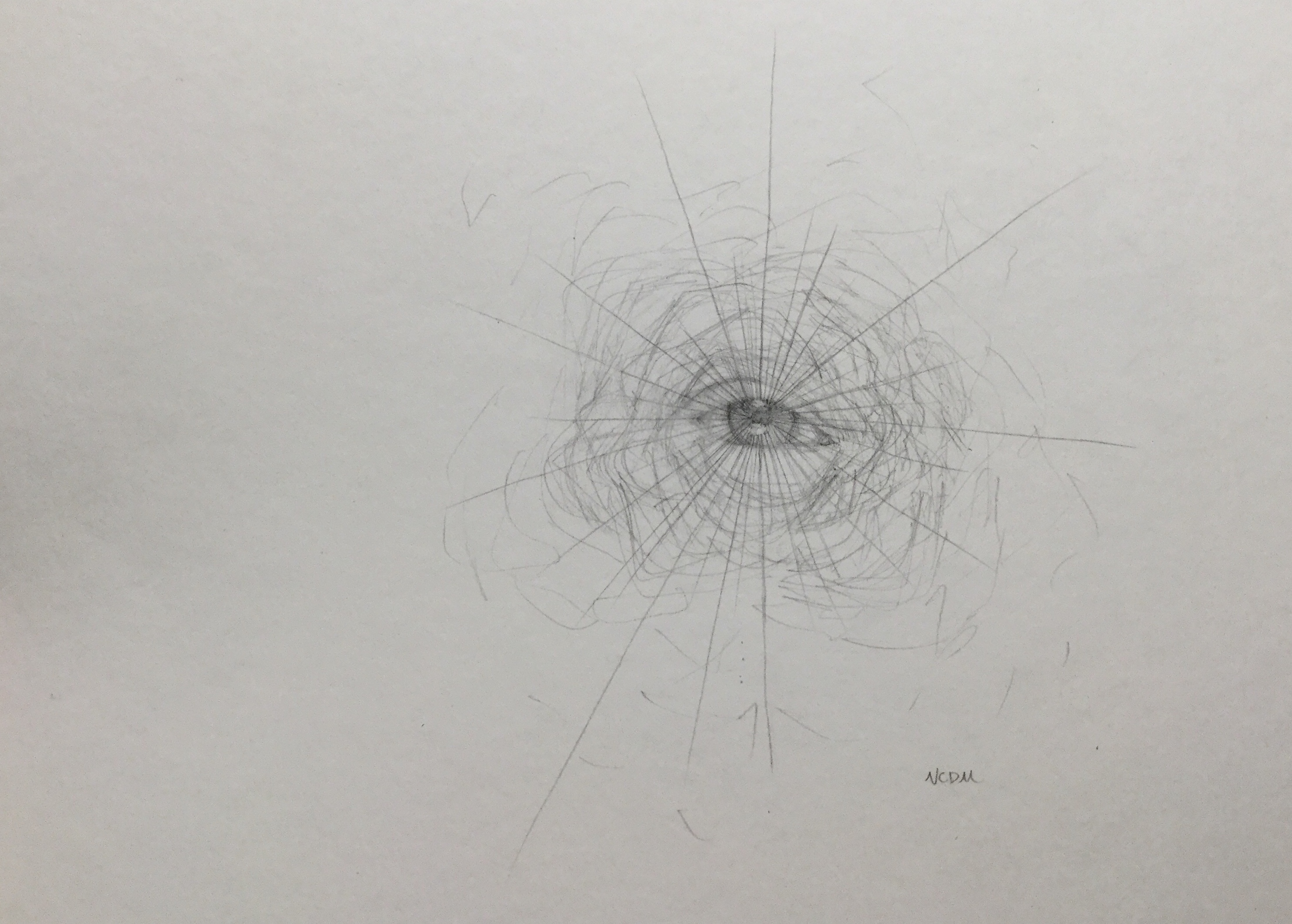 Graphite drawing of an eye with the iris radiating out into an organic design around the eye.
