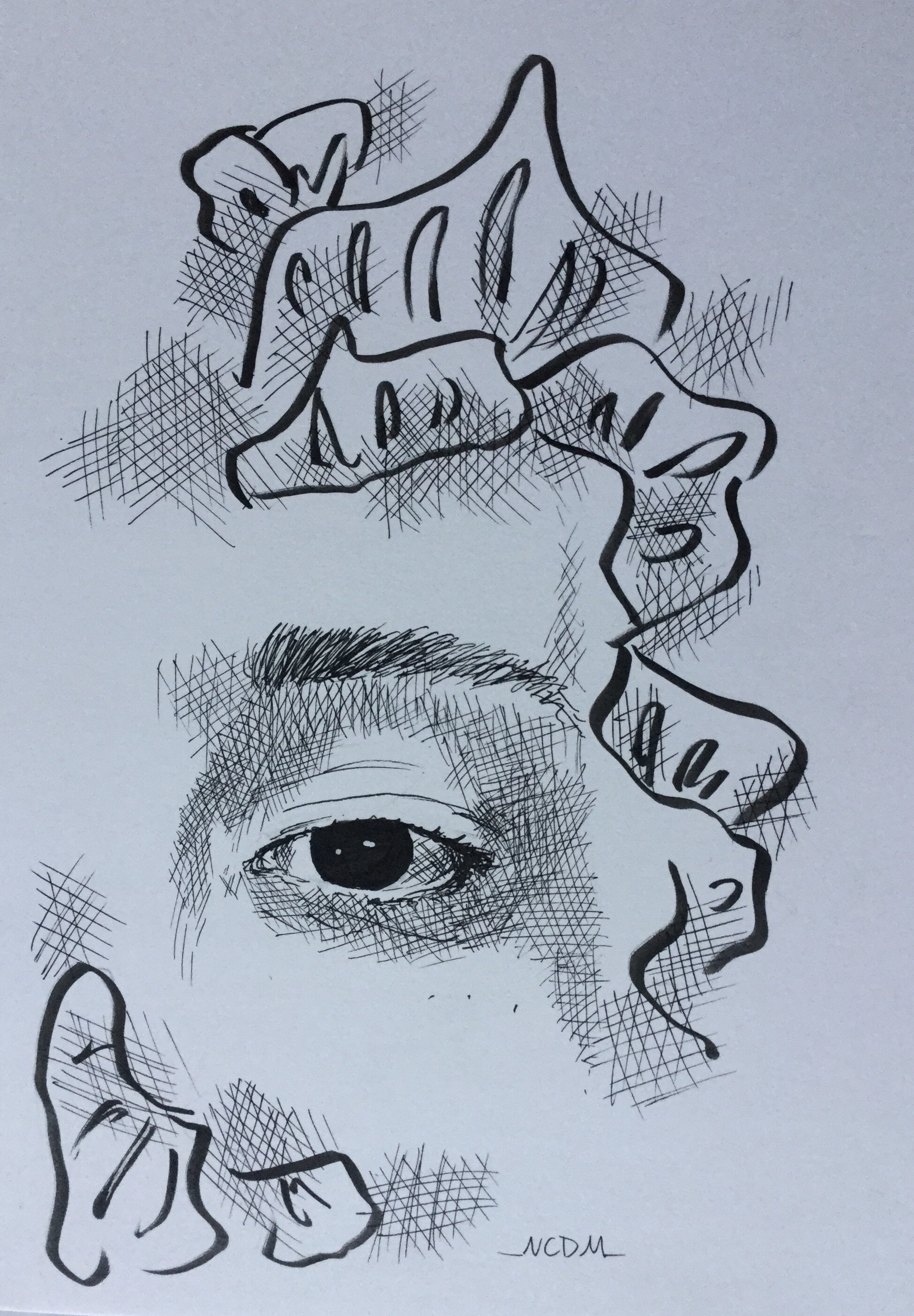 Hatching ink illustration of an eye. With inked abstract organic shapes surrounding it.