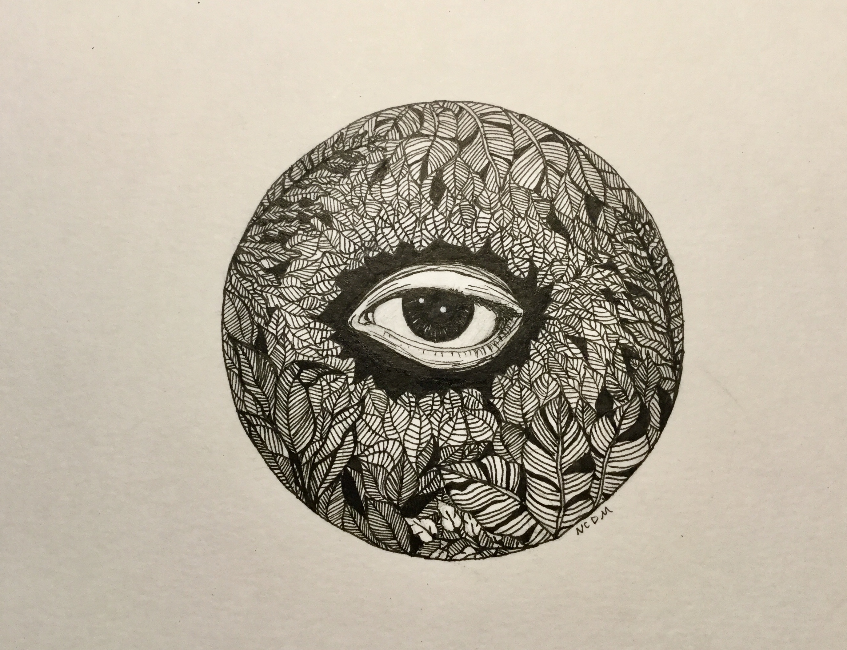 Ink illustration of a tired looking eye surrounded by leaves inside a circle.