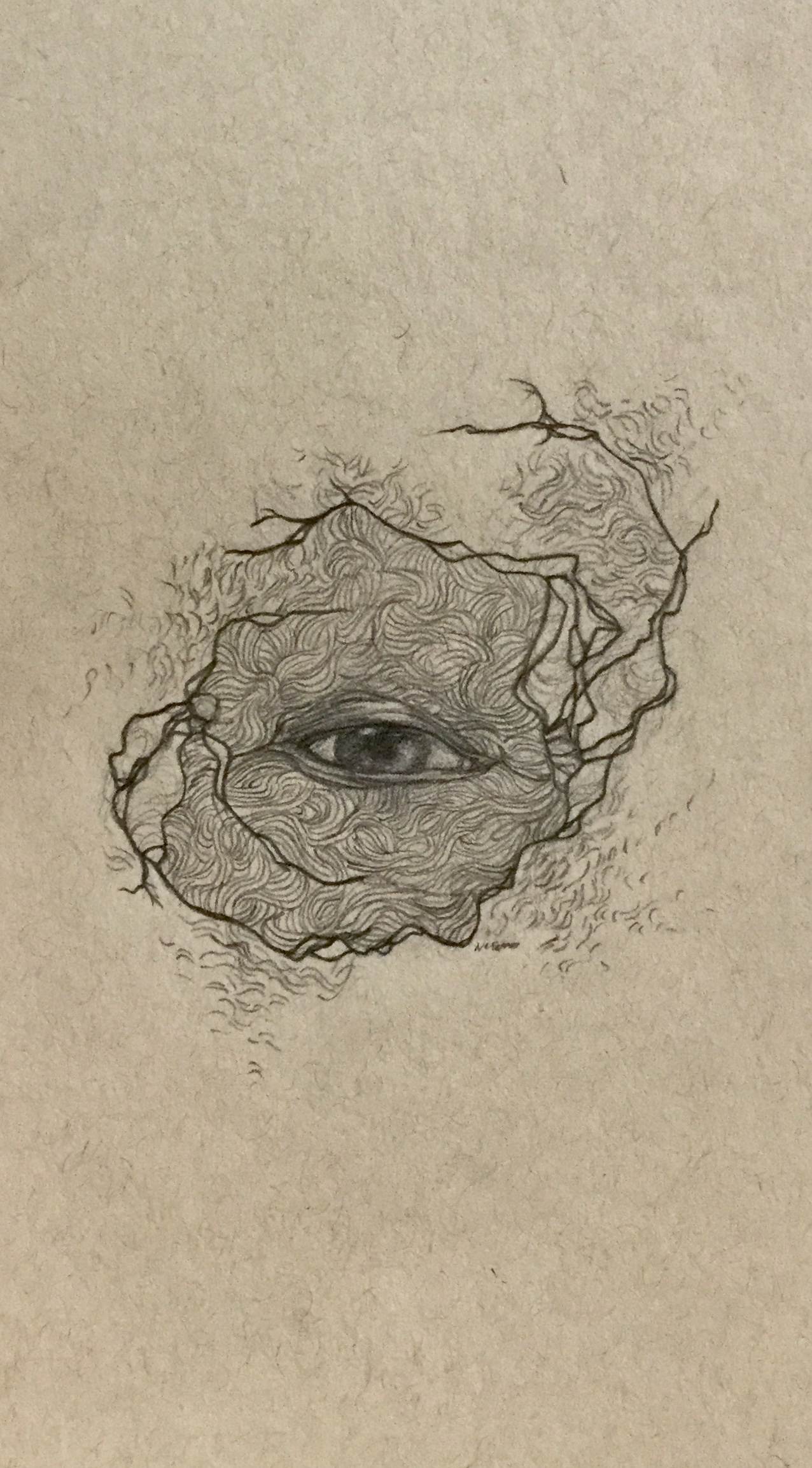 Graphite realist drawing of an eye with abstracted lines surrounding it, branches spiral out from the lines.