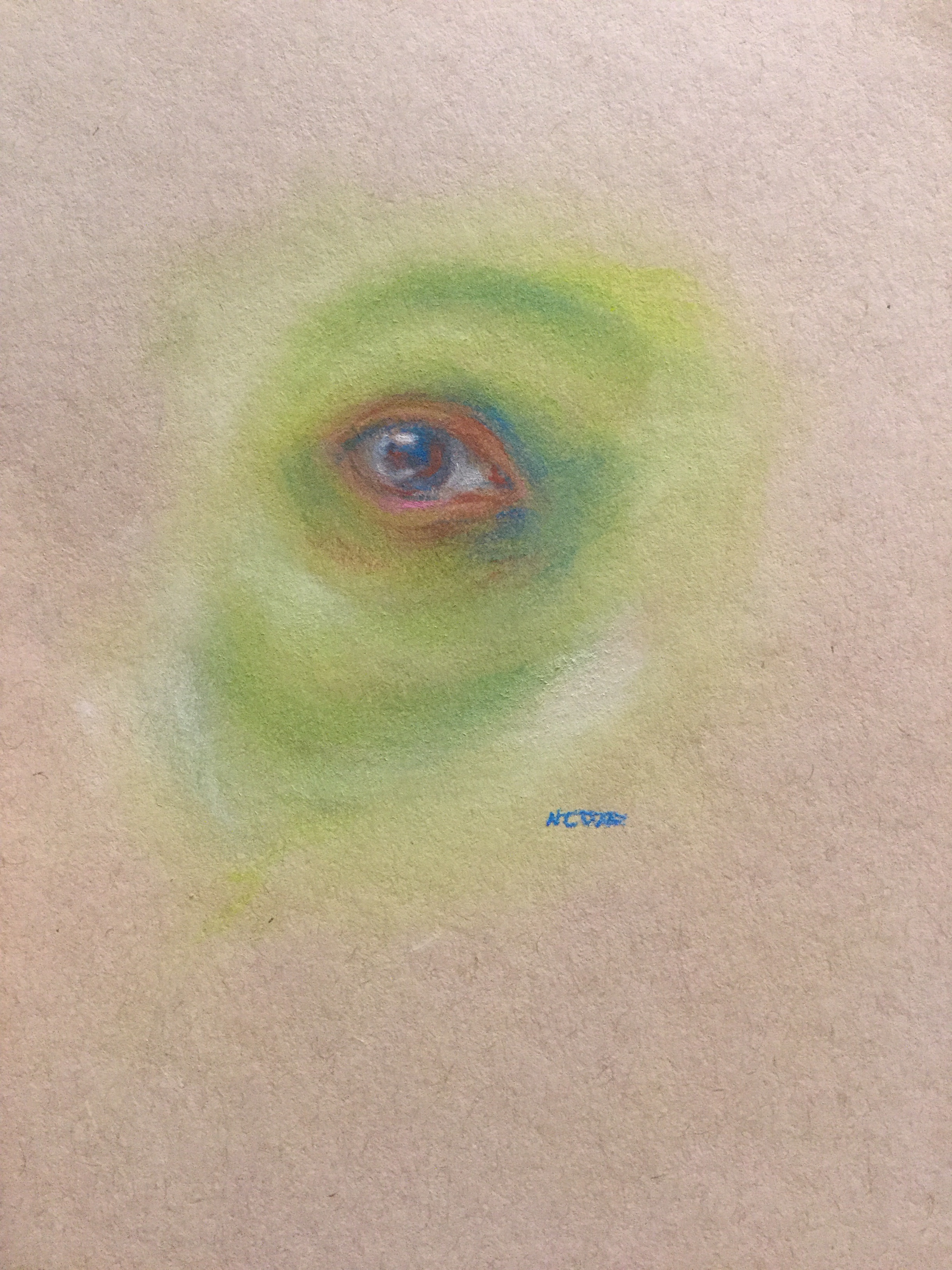 Drawing of an eye in fuzzy, soft lines, with pink accents around the eye but green skin.