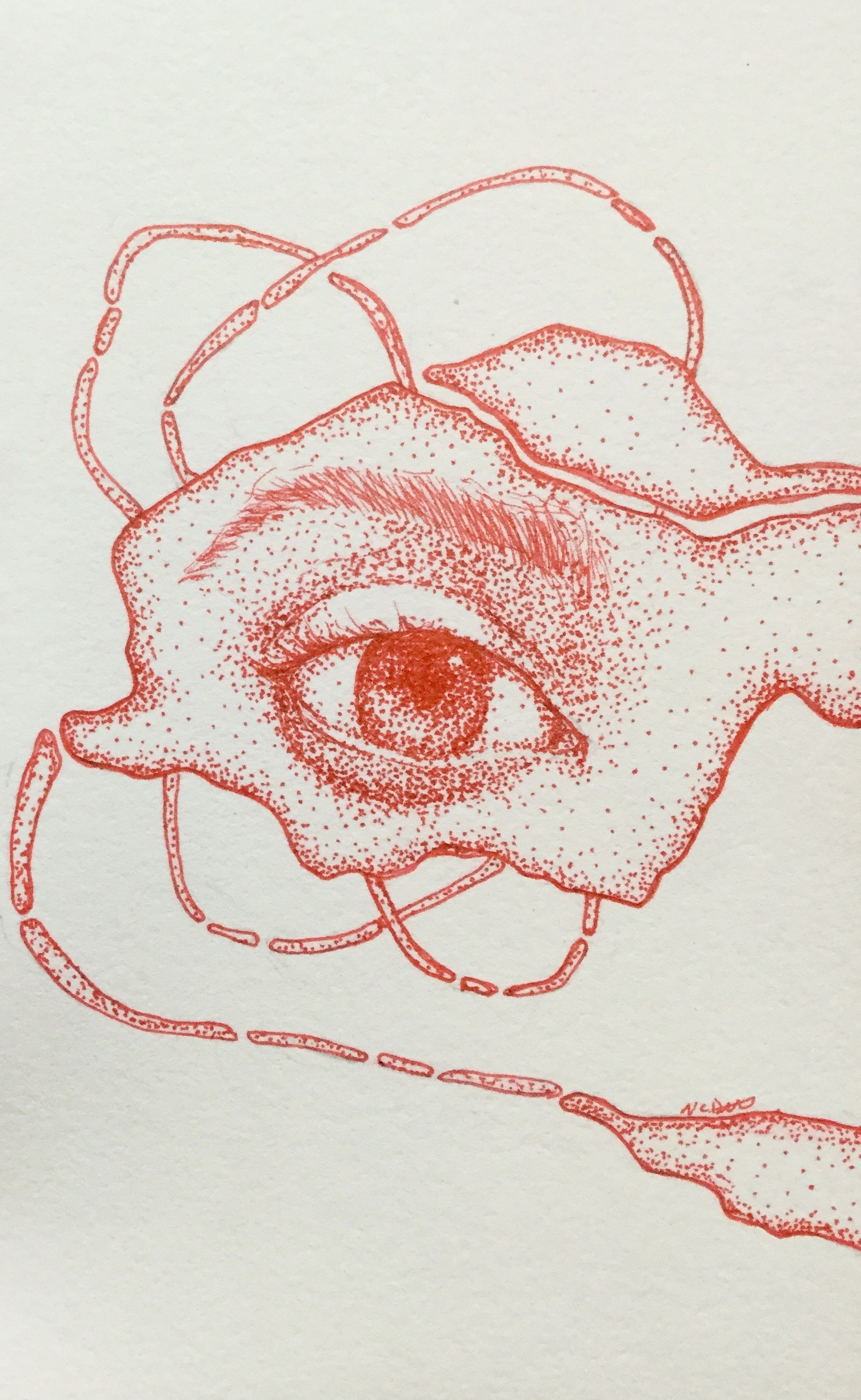 red ink pointillism drawing of an eye with the skin breaking apart into shapes that stretch past the edge of the page