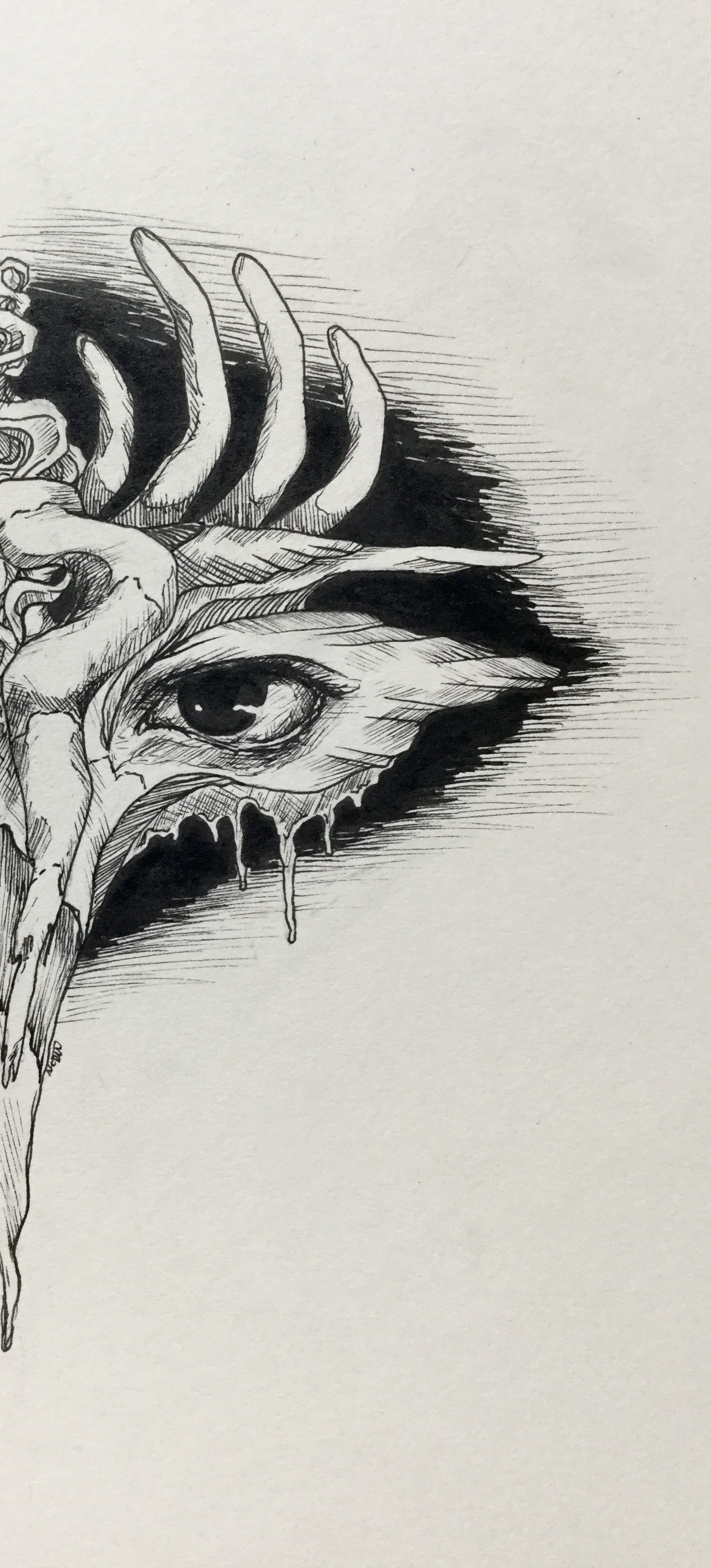Ink illustration of an eye with bone structures surrounding it, similar to both an animal skull and rib cage, black ink fills right behind the eye