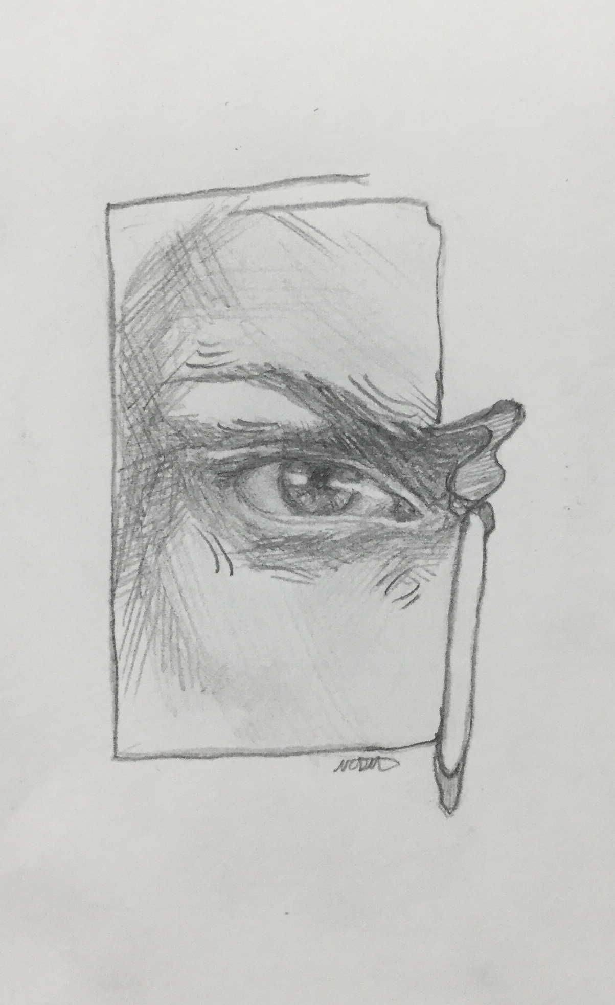 Graphite drawing of an eye with the eyebrow turning into lines that frame the eye