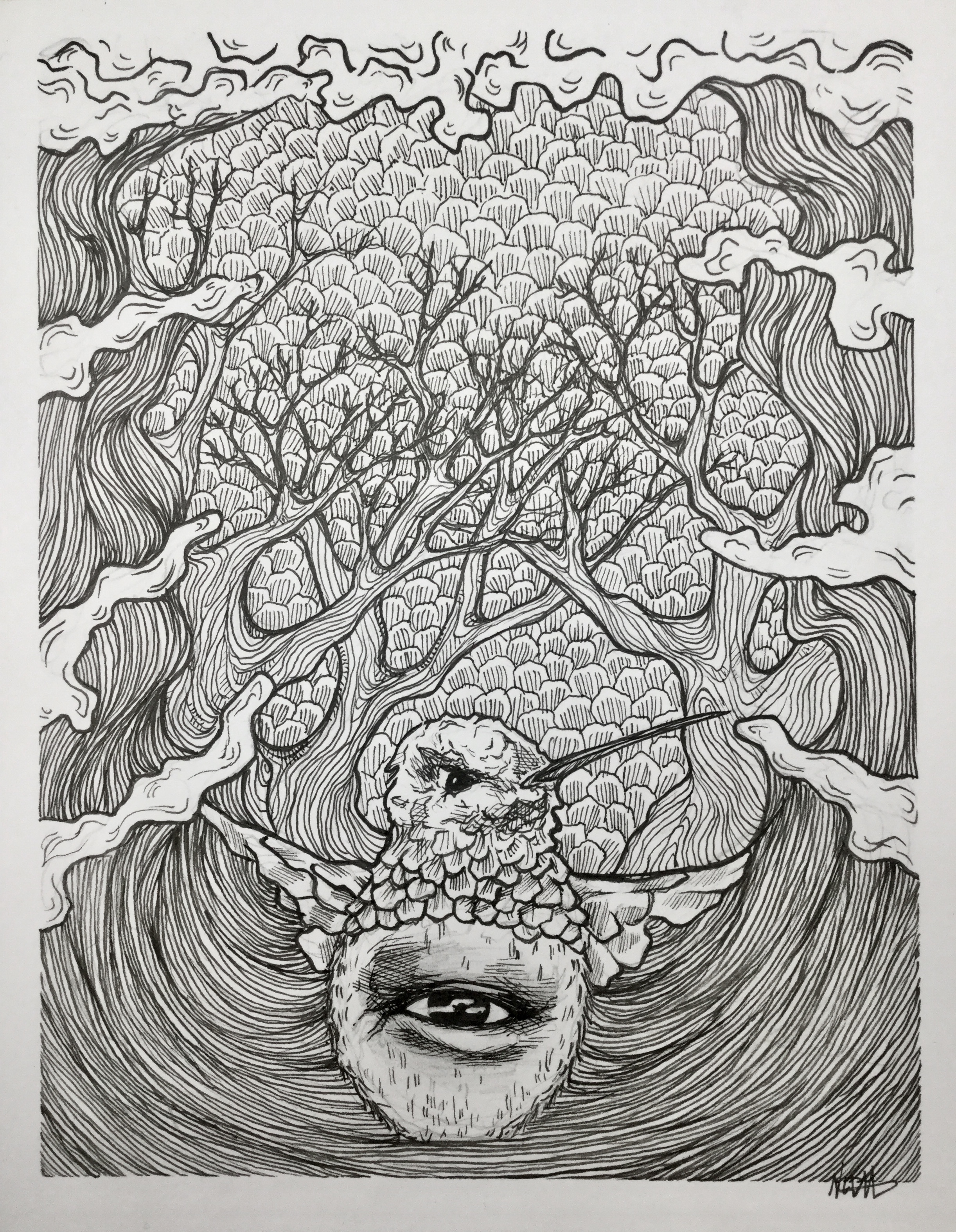Ink illustration of a hummingbird whose wings turn into waves of water that spread up on the sides of the drawing with trees in the background. An eye is on the hummingbird's body