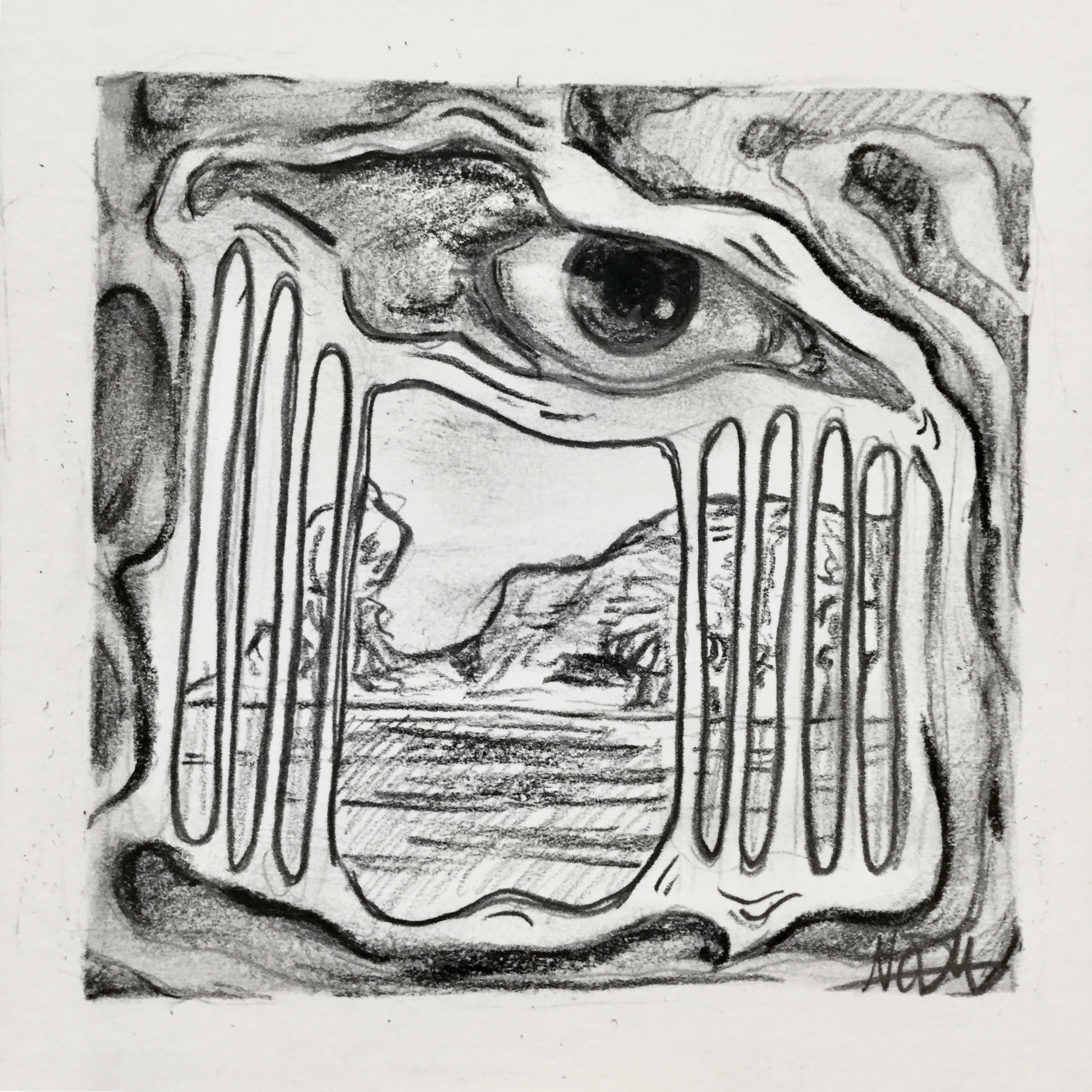 Charcoal drawing of an eye in an organic shape with a whole in it revealing a landscape