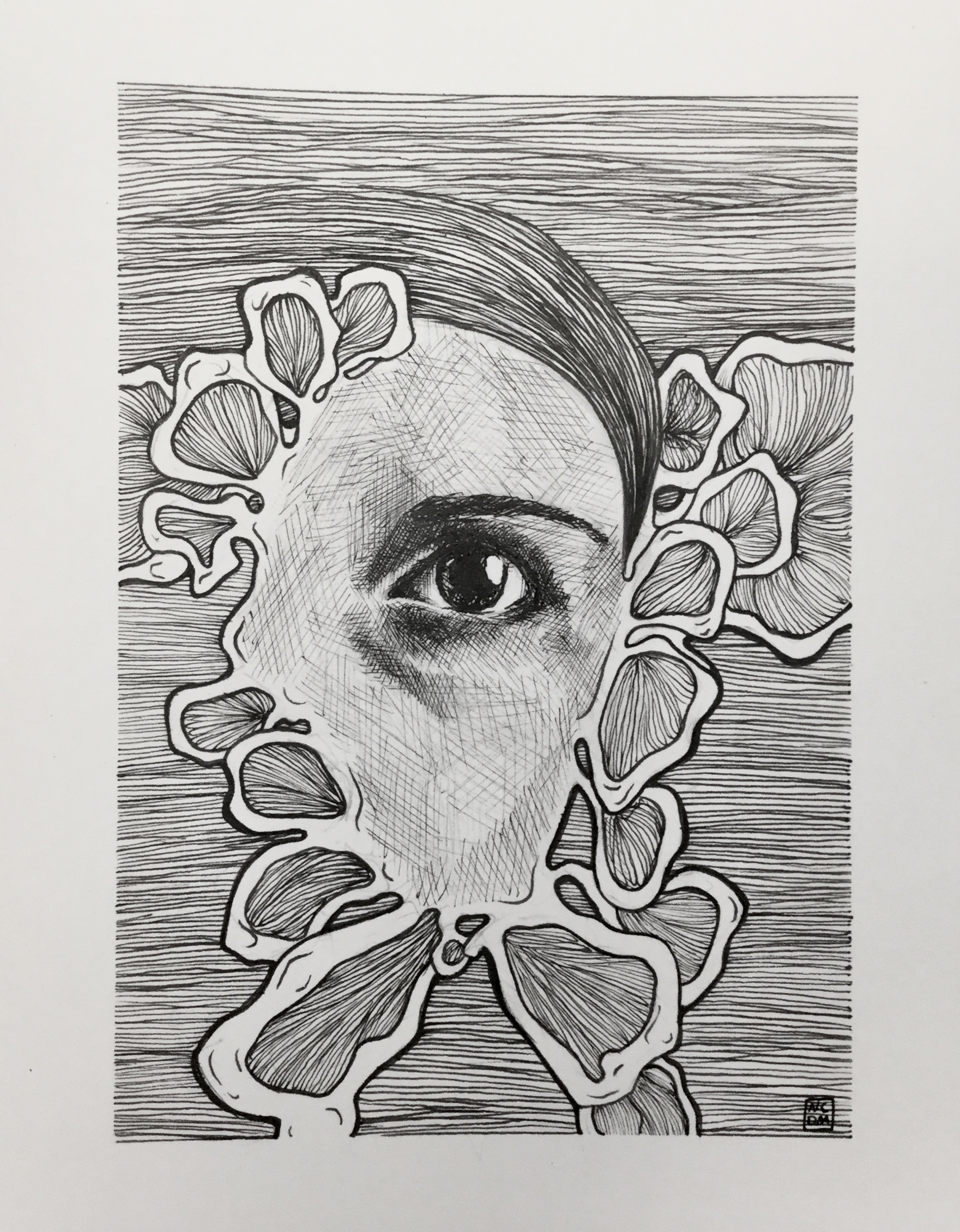 Ink illustration of an eye with the skin around it turning into an abstract shape with lines filling it and becoming part of the background