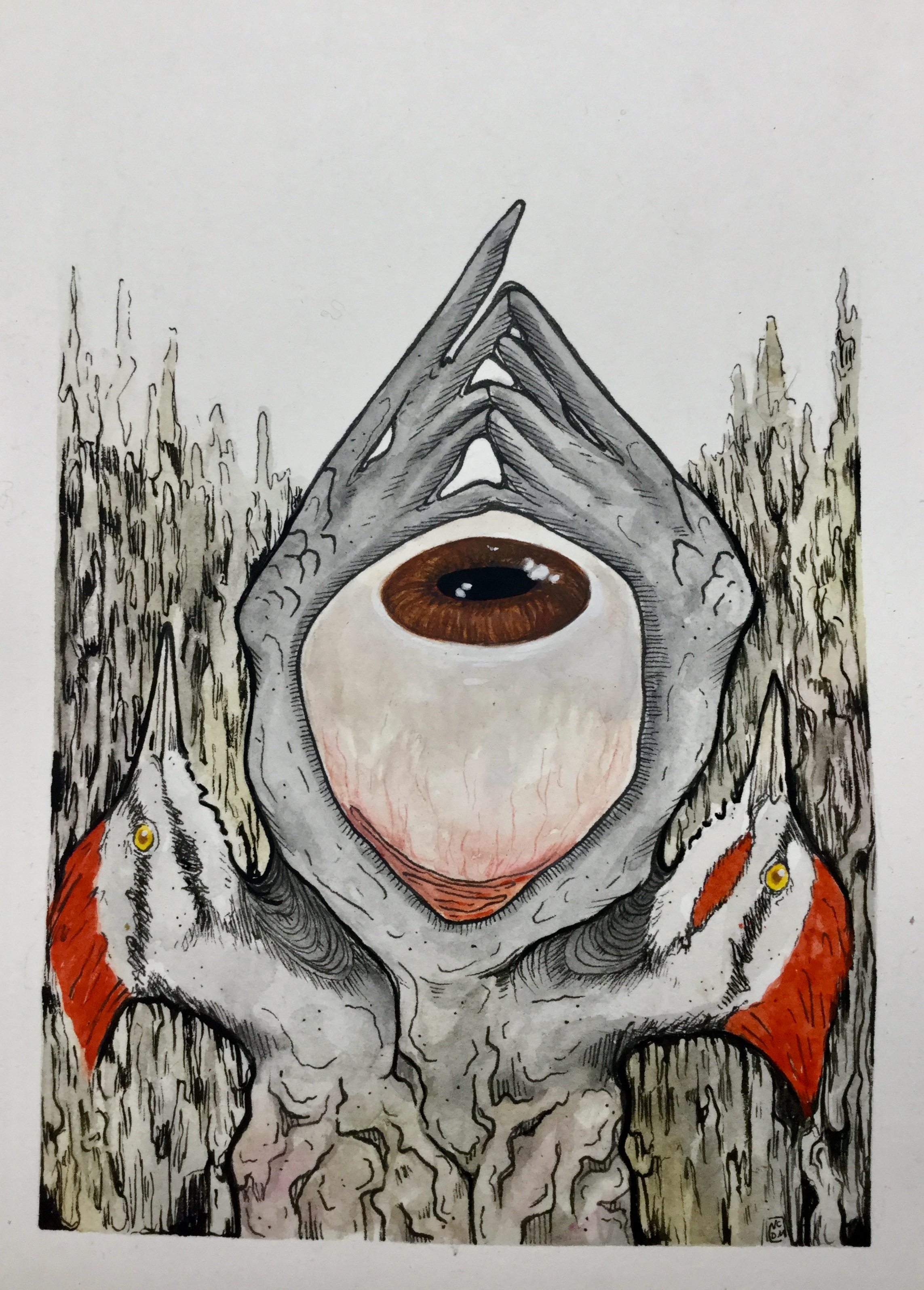 An ink illustration and gouache painting of two woodpeckers with red crests in profile with a a wing reaching up and connecting at the center, between the wings is a side-view of an eyeball.