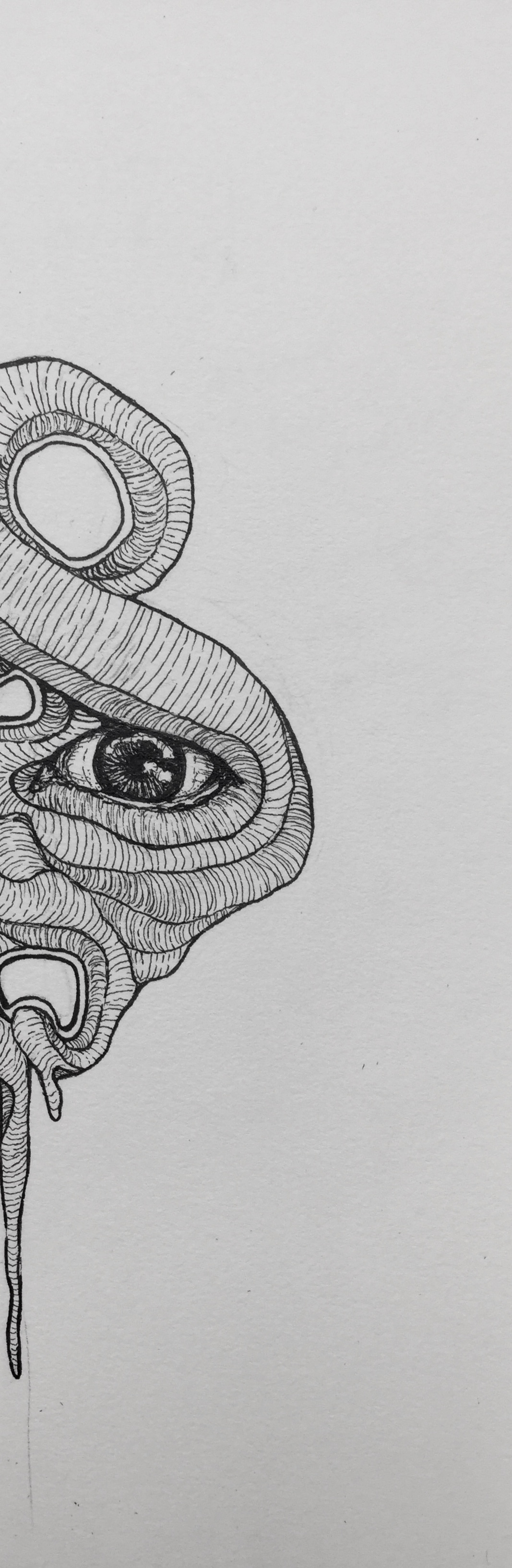 Ink illustration with a curling shape around it that spills off the page