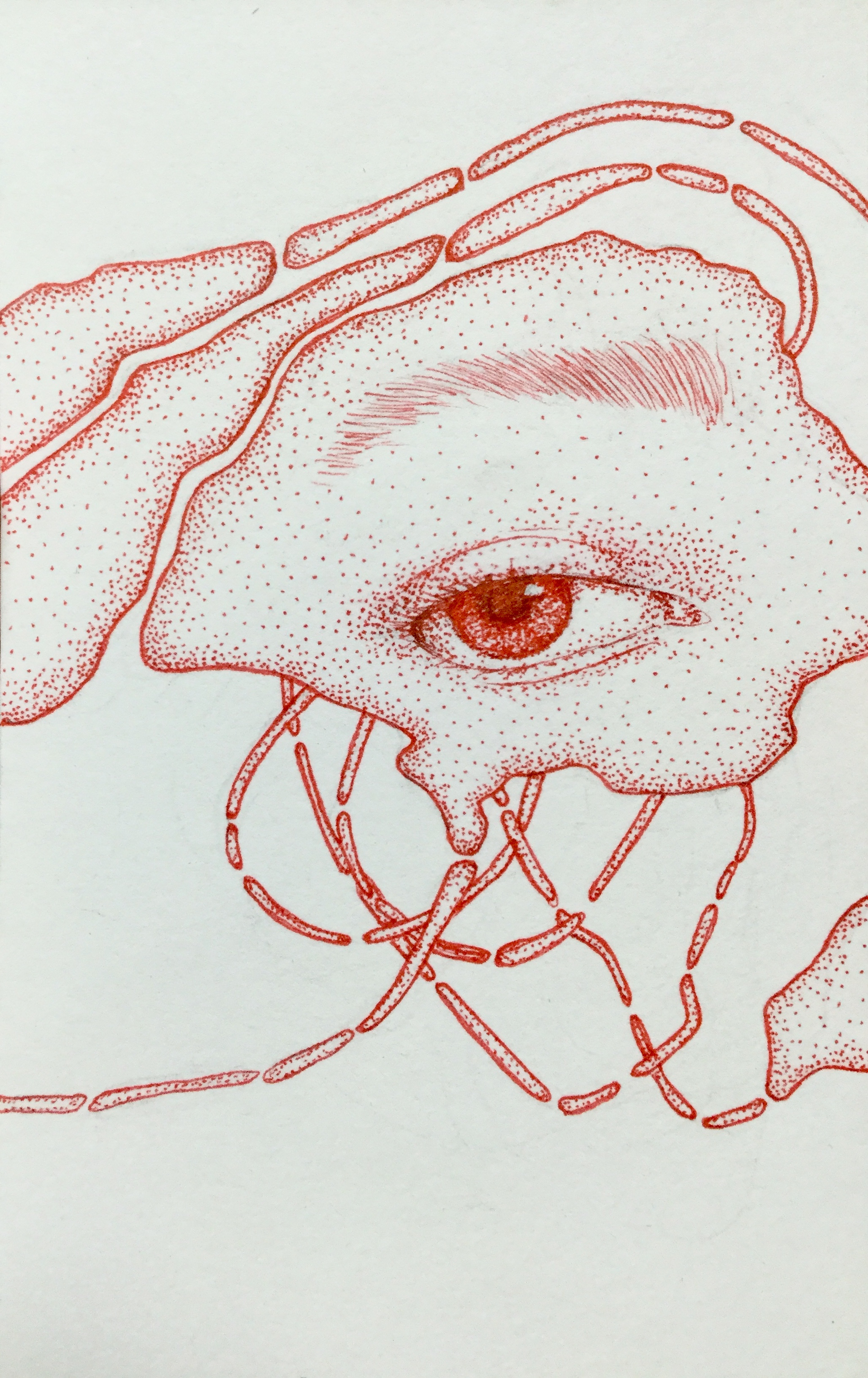 Ink illustration of an eye in pointillism with the skin around the eye breaking into shapes that are interrupted by the edge of the page