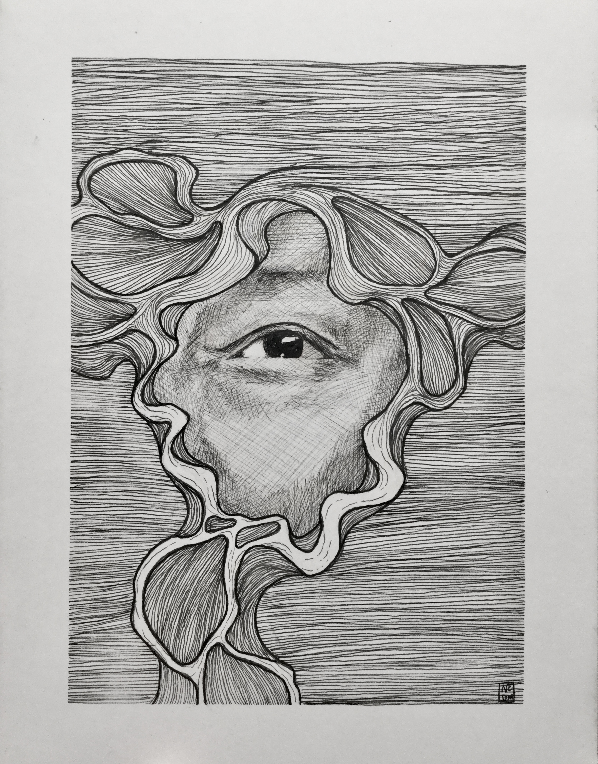 A crosshatched ink illustration of an eye looking slightly up and to the right with lines creating abstract petal-like shapes around it, the background is a series of horizontal lines.