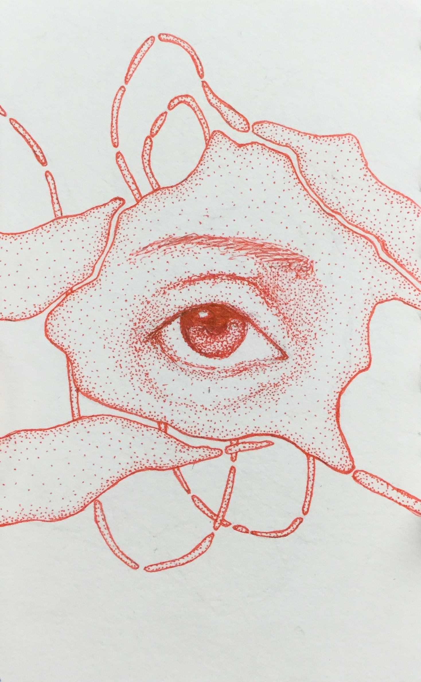 Red ink pointillism drawing of an eye wit the skin breaking into shapes that connect beyond the page