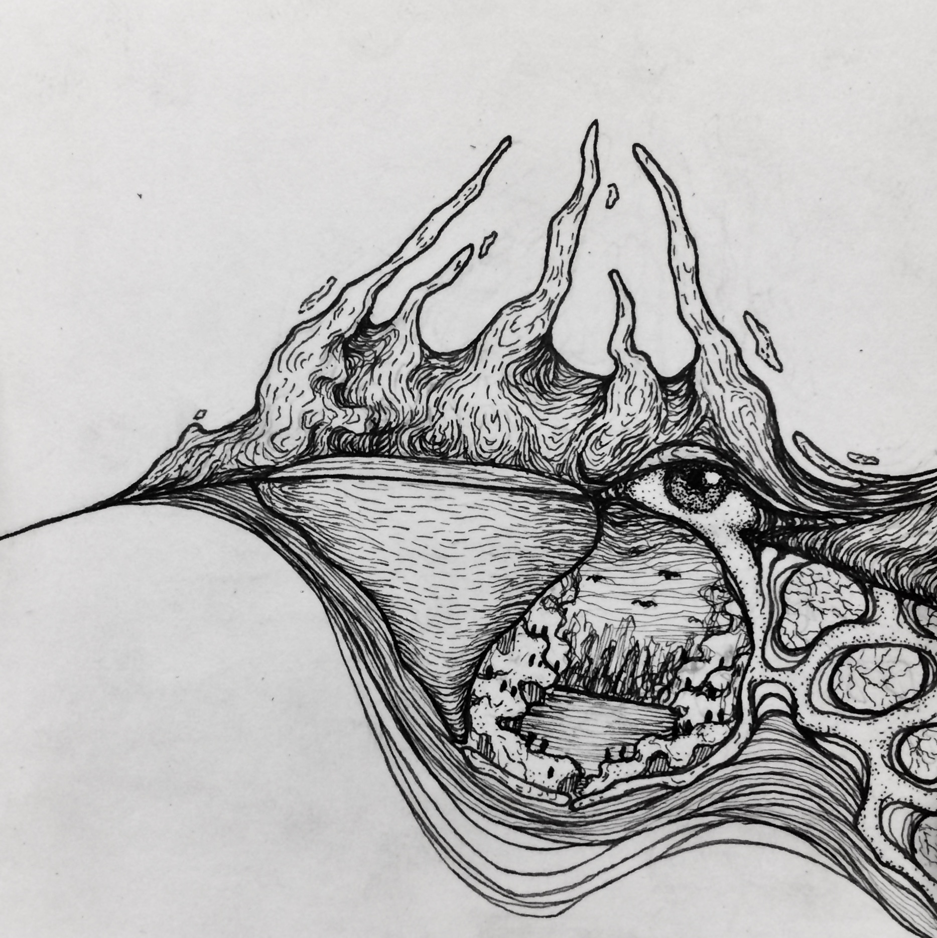 Ink illustration of a surreal landscape on a curved line with an eye in it