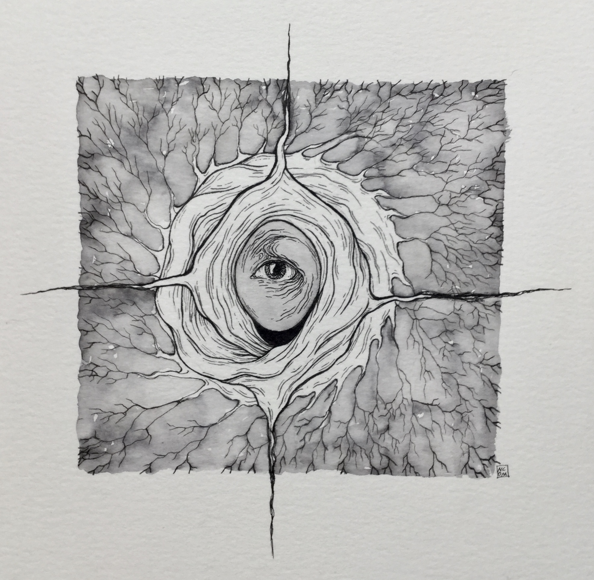 Ink illustration of an eye with swirling lines pointing in four directions with a root system spreading out around it