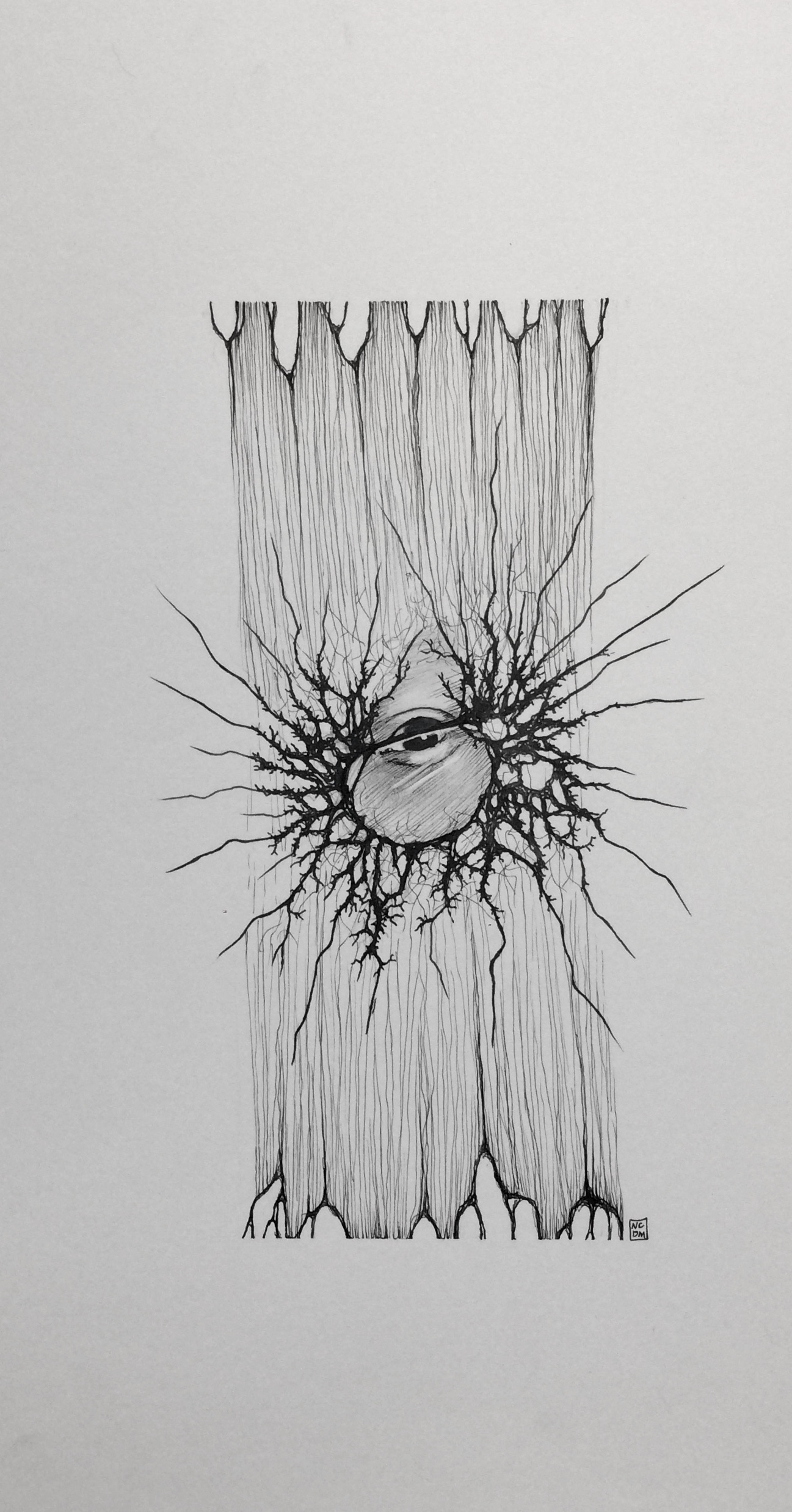 Ink illustration of an eye peering through glasses with spiky shapes coming from it like neurons. Behind lines like neurons connect the piece